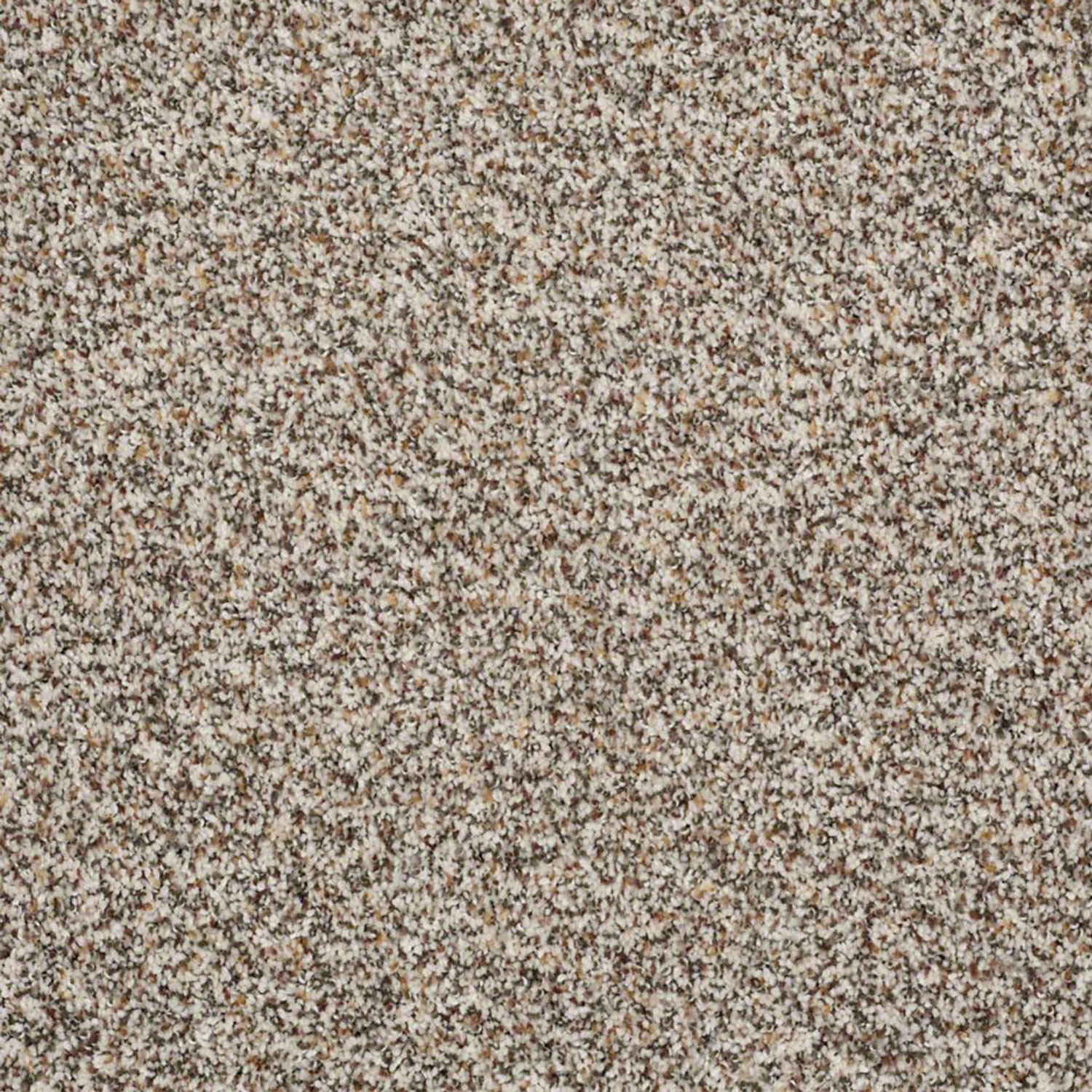 Carpet Remnant C 454 Shaw Remember Me Hope Home Furnishings And Flooring